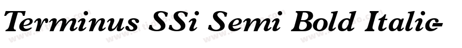 Terminus SSi Semi Bold Italic字体转换